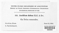 Image Associated With the Occurence